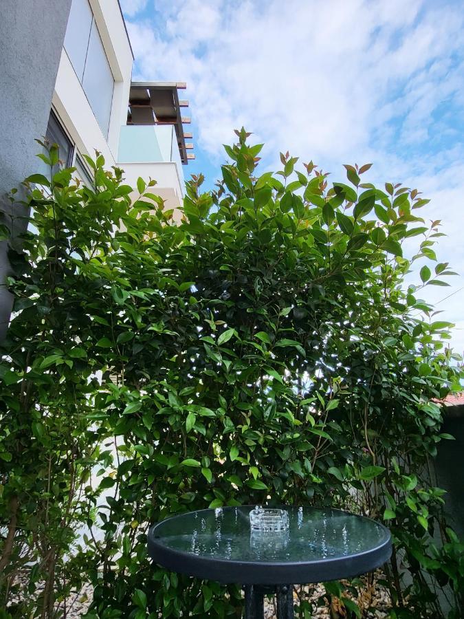 Rosemarie Beach Suites Zadar Bagian luar foto
